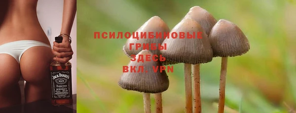 apvp Алзамай