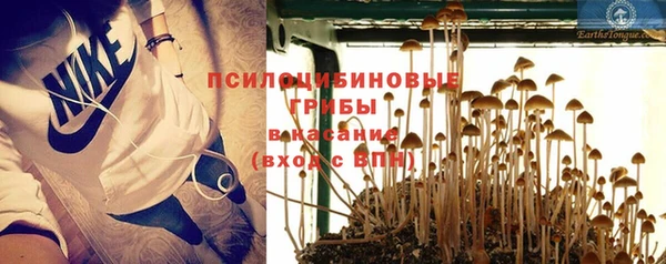а пвп мука Алексин
