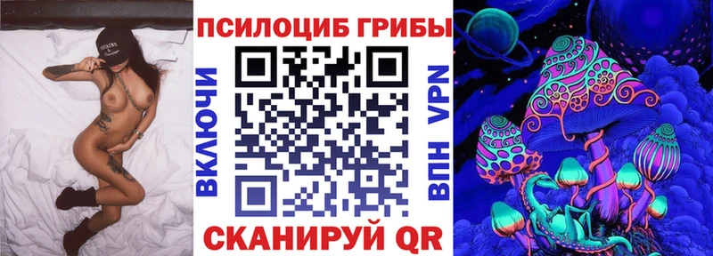 Псилоцибиновые грибы GOLDEN TEACHER  Купить закладки  Бокситогорск 